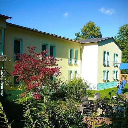 Meister Baer Vogtland