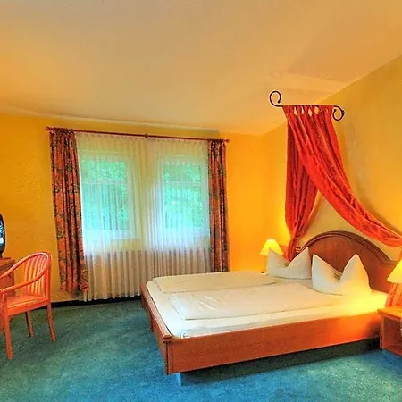 Hotel Meister Baer Vogtland