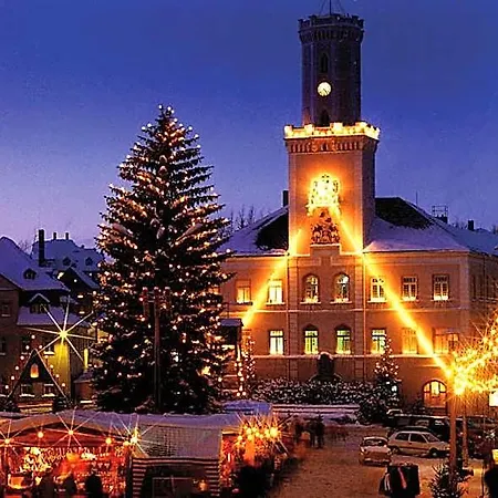 Hotel Meister Baer Vogtland 4*