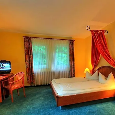 Hotel Meister Baer Vogtland